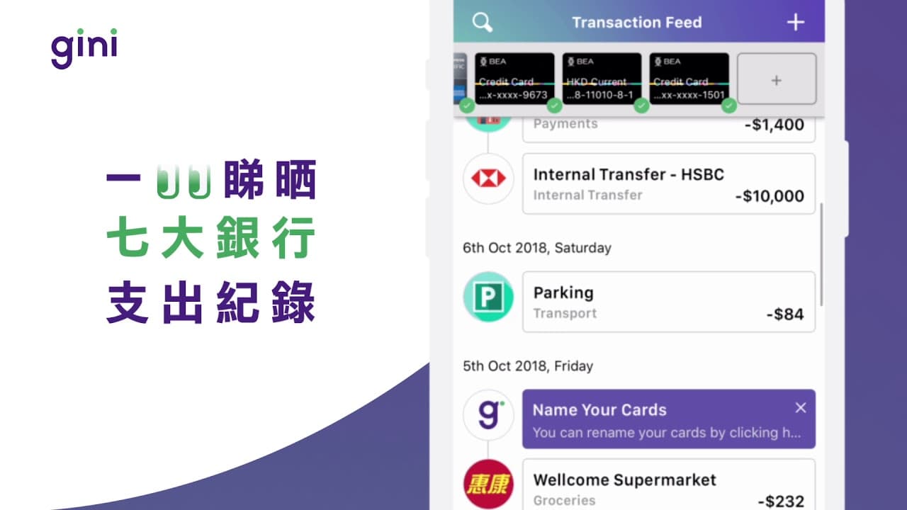 Gini screenshot 2